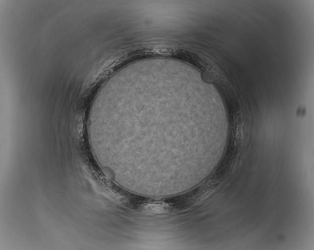 X0000115300595200911161659