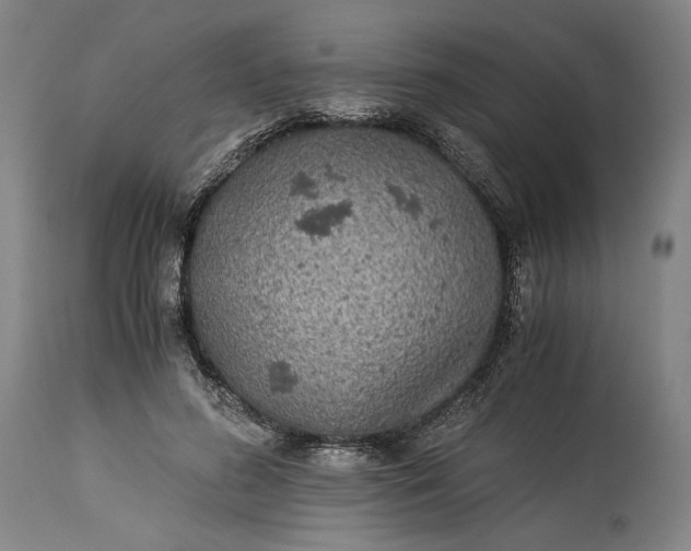 X0000115300596200911161659