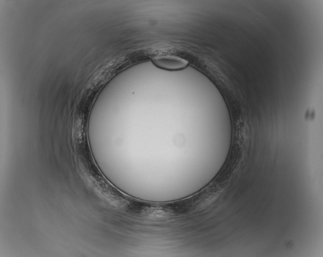 X0000115300597200911161659