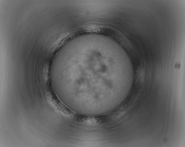 X0000115300600200911161659