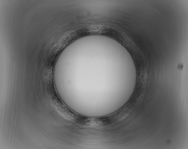 X0000115300601200911161659