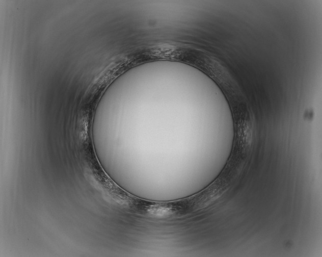 X0000115300602200911161659