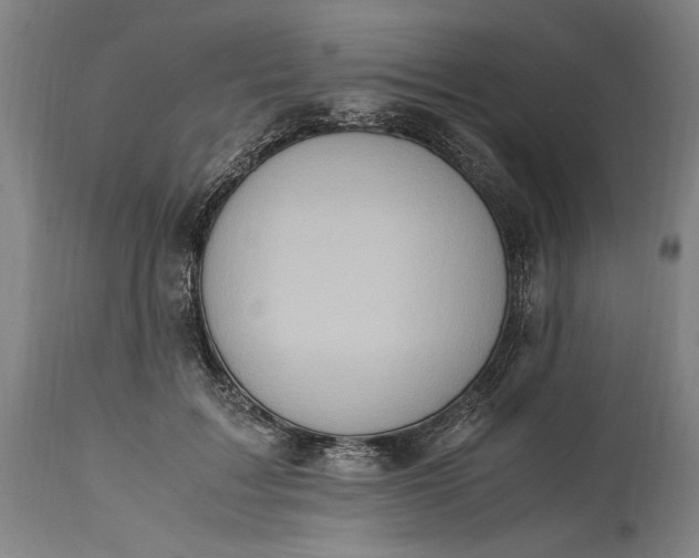 X0000115300603200911161659