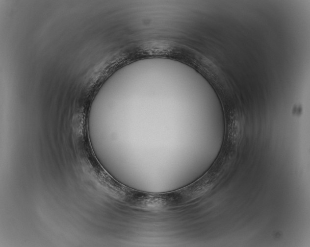 X0000115300604200911161659