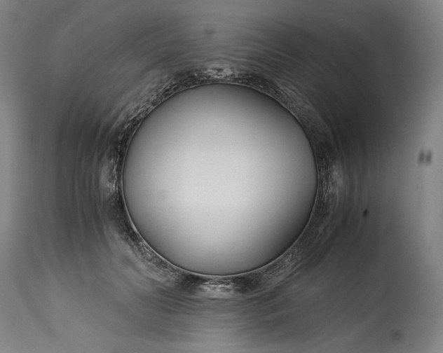 X0000115300606200911161659