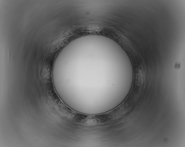 X0000115300608200911161659