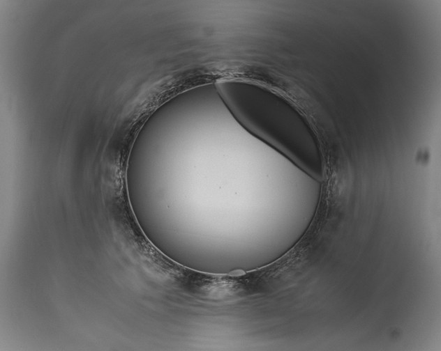 X0000115300609200911161659