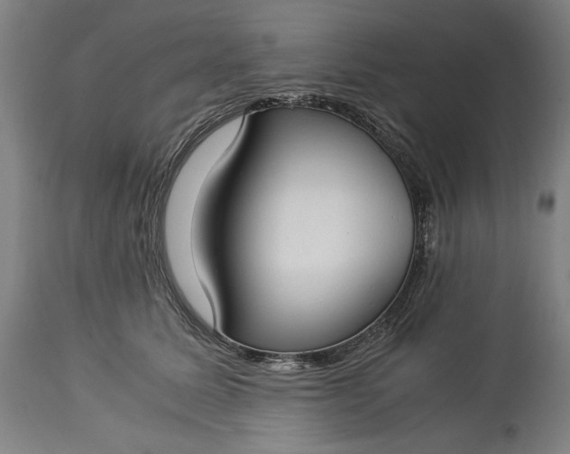 X0000115300611200911161659