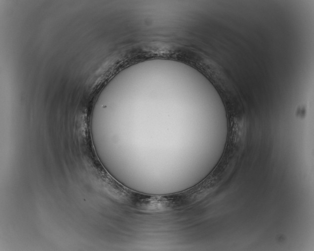 X0000115300612200911161659