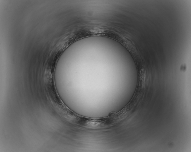 X0000115300614200911161659