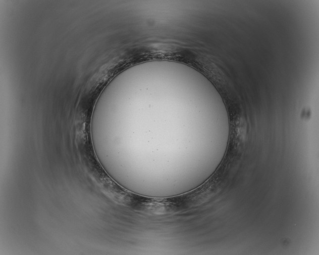 X0000115300615200911161659