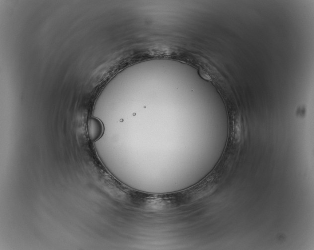 X0000115300616200911161659