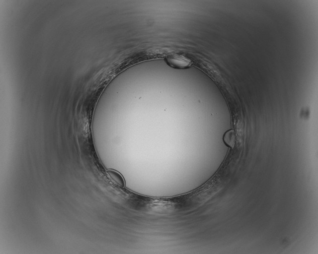 X0000115300617200911161659