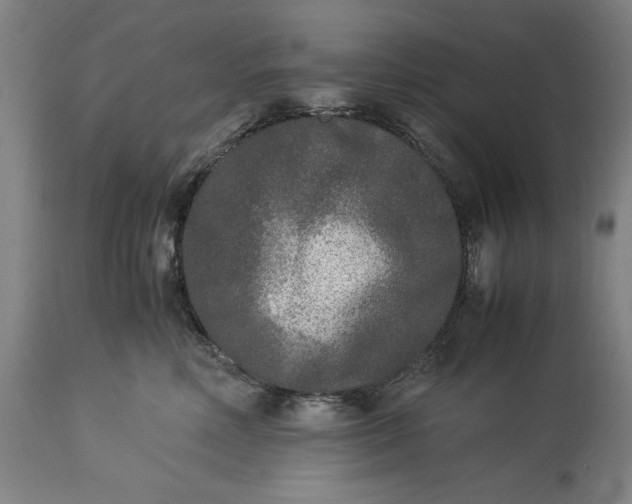 X0000115300618200911161659