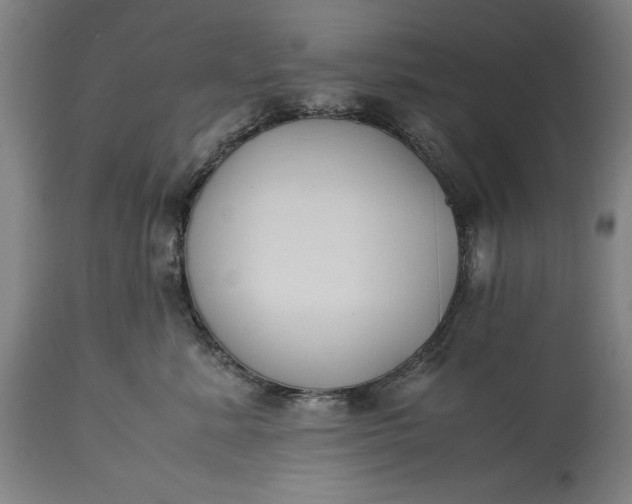 X0000115300619200911161659