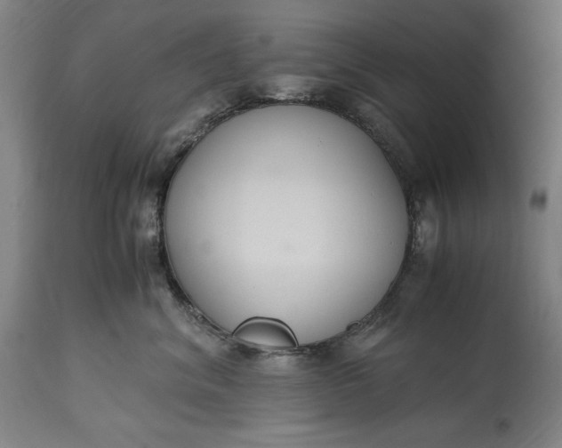 X0000115300620200911161659