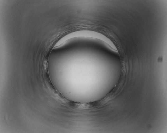 X0000115300621200911161659