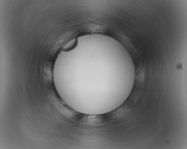 X0000115300622200911161659