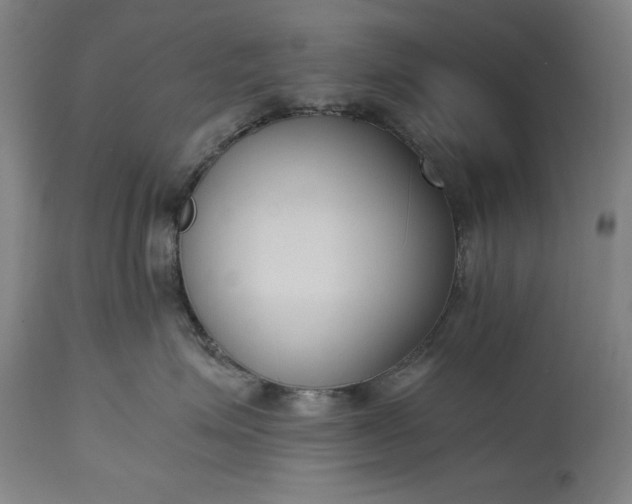 X0000115300623200911161659