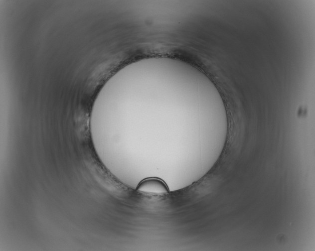 X0000115300624200911161659