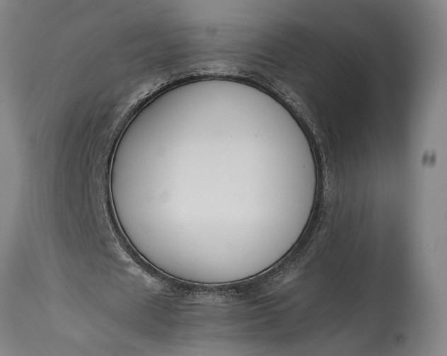 X0000115300625200911161658