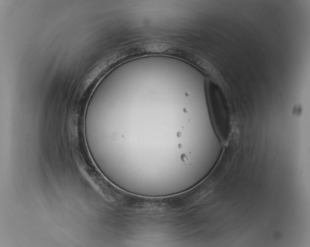 X0000115300626200911161658