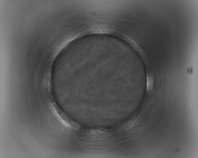 X0000115300627200911161658