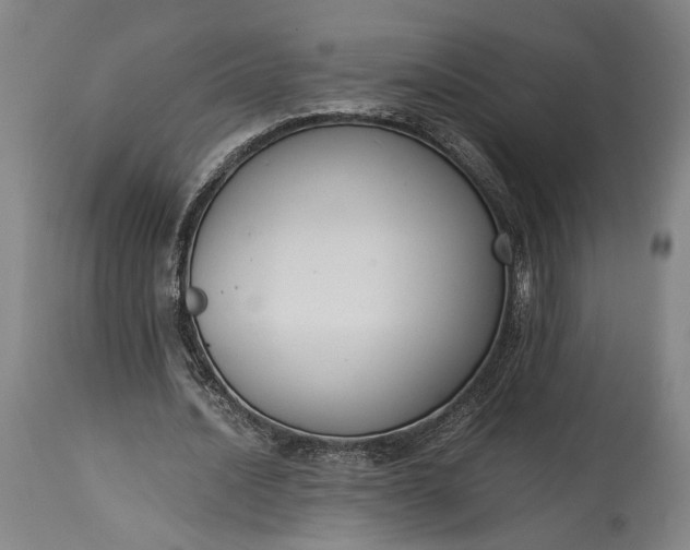 X0000115300628200911161658