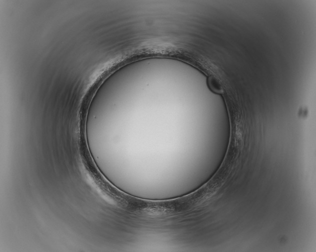 X0000115300630200911161658