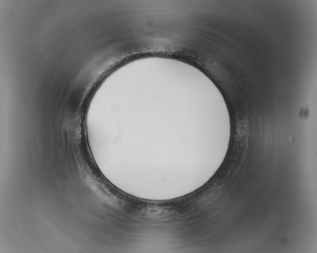 X0000115300632200911161658