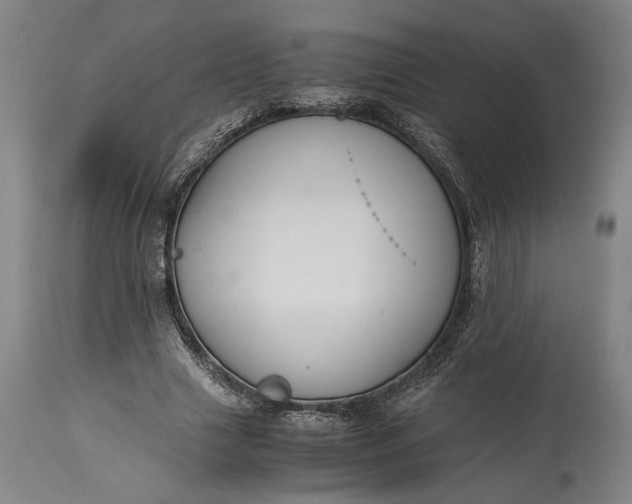 X0000115300633200911161658