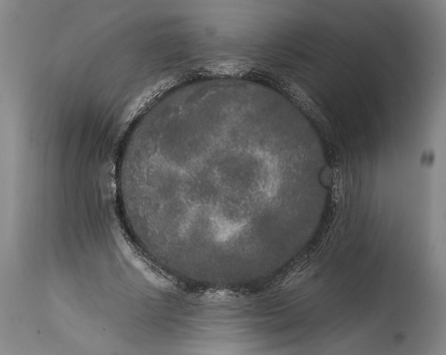 X0000115300634200911161658