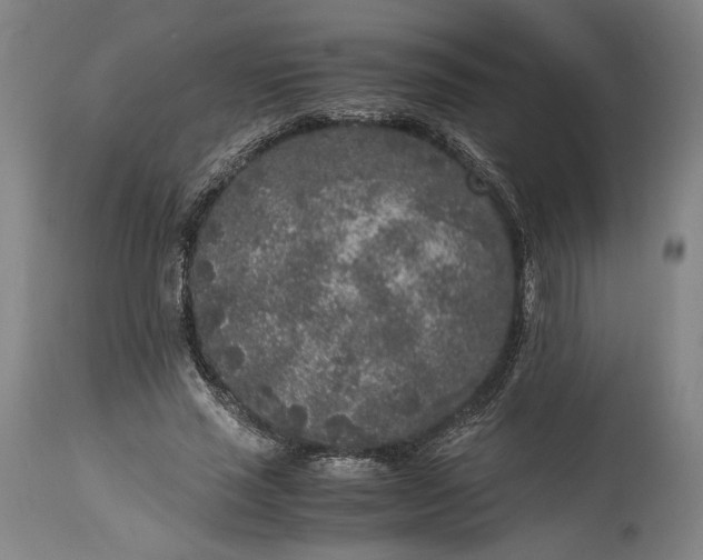 X0000115300637200911161658