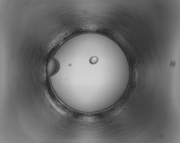 X0000115300638200911161658