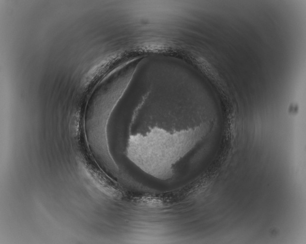 X0000115300640200911161658