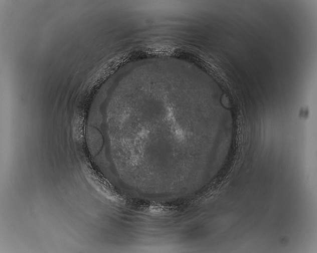 X0000115300641200911161658