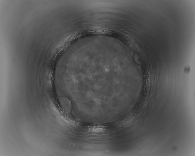 X0000115300643200911161658