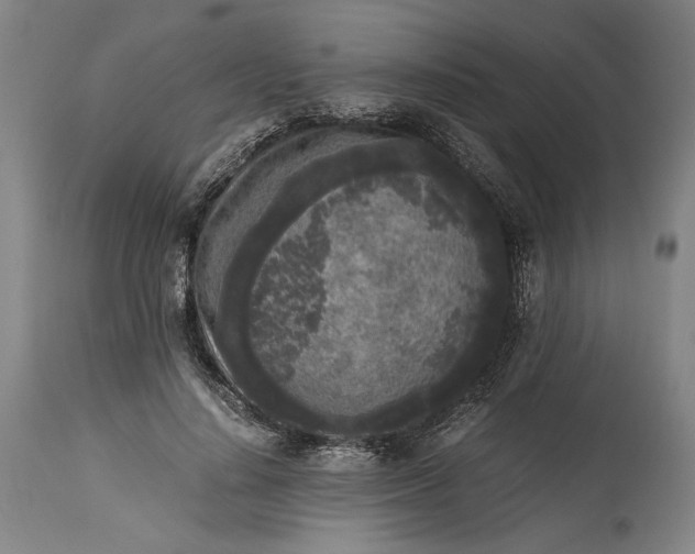 X0000115300644200911161658