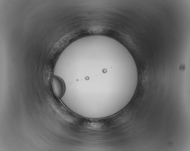 X0000115300645200911161658