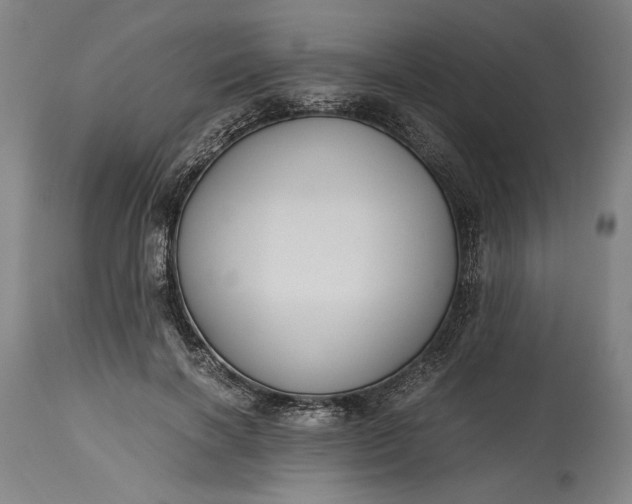 X0000115300646200911161658