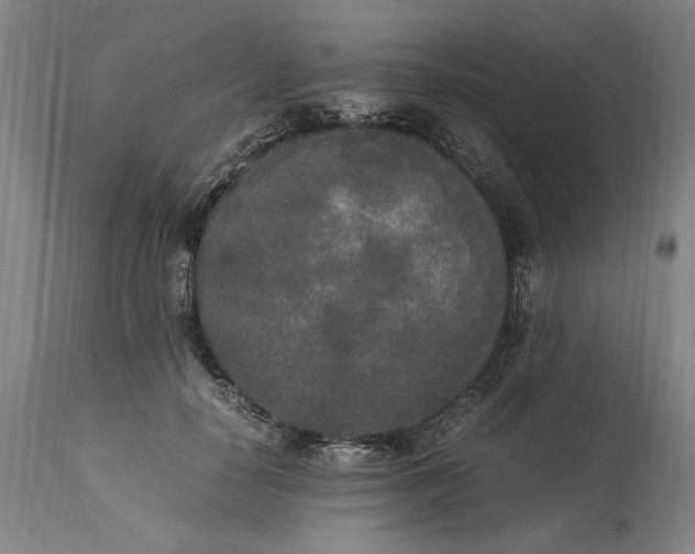 X0000115300650200911161658