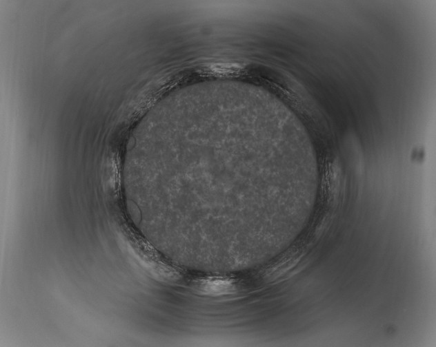 X0000115300651200911161658