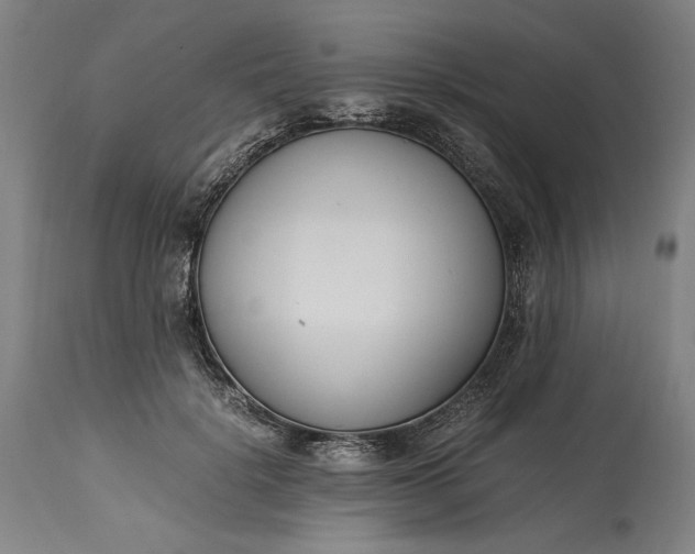 X0000115300652200911161658