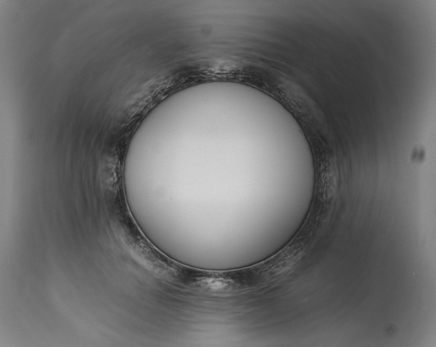 X0000115300654200911161659