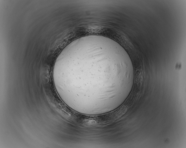 X0000115300655200911161659