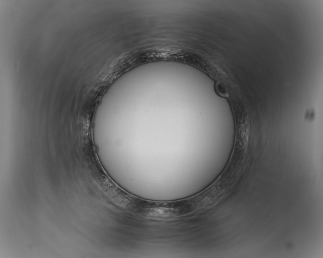 X0000115300657200911161659