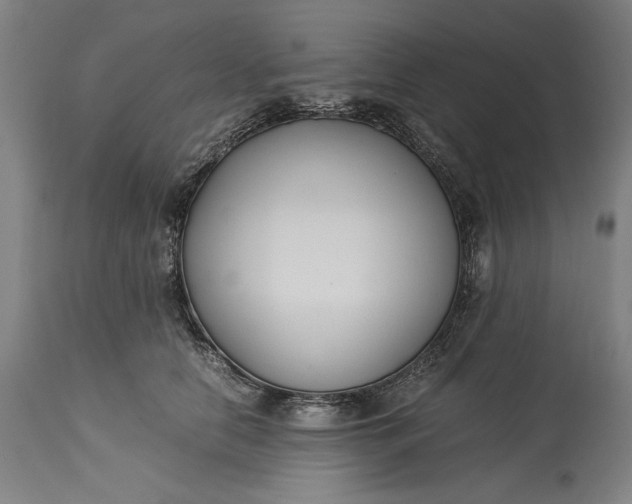 X0000115300658200911161659