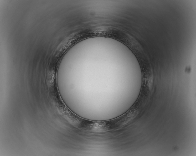 X0000115300660200911161659