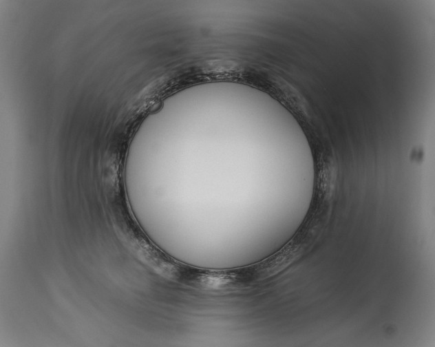 X0000115300662200911161659