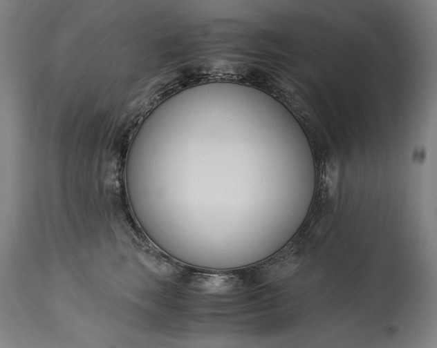 X0000115300663200911161659